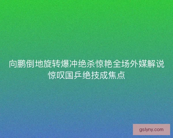 向鹏倒地旋转爆冲绝杀惊艳全场外媒解说惊叹国乒绝技成焦点 向鹏倒地旋转爆冲绝杀惊艳全场外媒解说惊叹国乒绝技成焦点