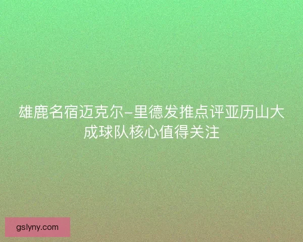 雄鹿名宿迈克尔-里德发推点评亚历山大成球队核心值得关注 雄鹿名宿迈克尔-里德发推点评亚历山大成球队核心值得关注