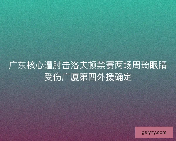 广东核心遭肘击洛夫顿禁赛两场周琦眼睛受伤广厦第四外援确定