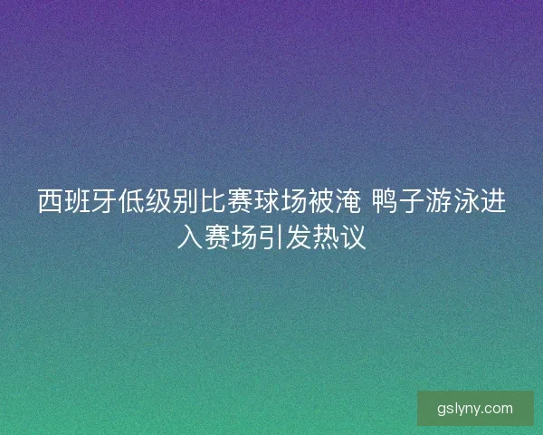 西班牙低级别比赛球场被淹 鸭子游泳进入赛场引发热议
