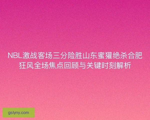 NBL激战客场三分险胜山东蜜獾绝杀合肥狂风全场焦点回顾与关键时刻解析